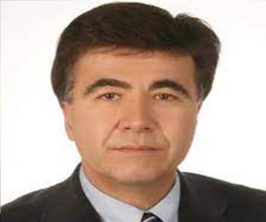 Prof. Dr. Haluk Akgün