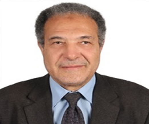 Prof. Dr. Ahmed G. Hegazi
