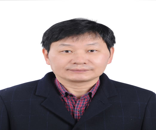 Prof. Wanyang Dai
