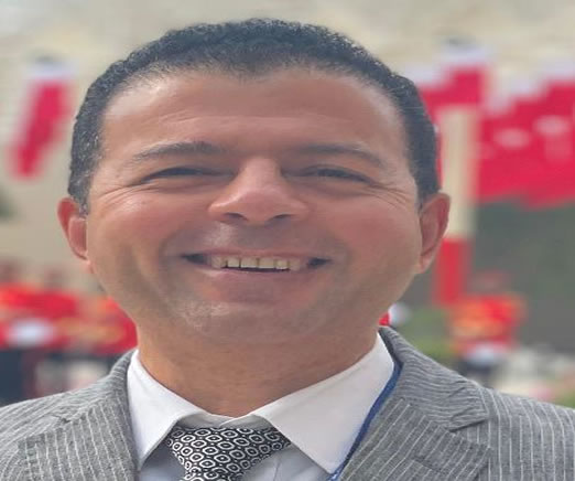 Prof. Mohamed Sayed Abou El-Seoud