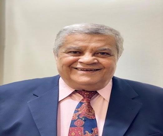 Ahmed Nasr Mohammed Ghanem